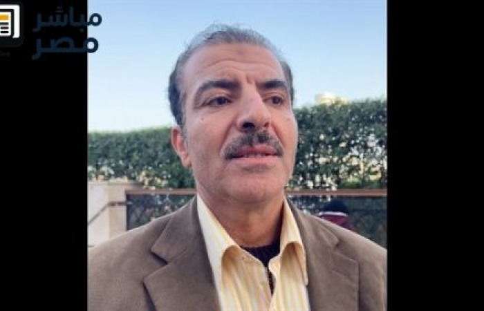 عماد العدل يقدم طعنًا على نتائج انتخابات النواب بالدقهلية: تفاصيل المخالفات والإجراءات القانونية