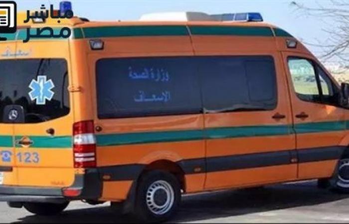 حصري: أسماء القضاة المتوفين في حادث مأساوي على الطريق الصحراوي بالمنيا